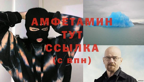 прущие грибы Верхний Тагил